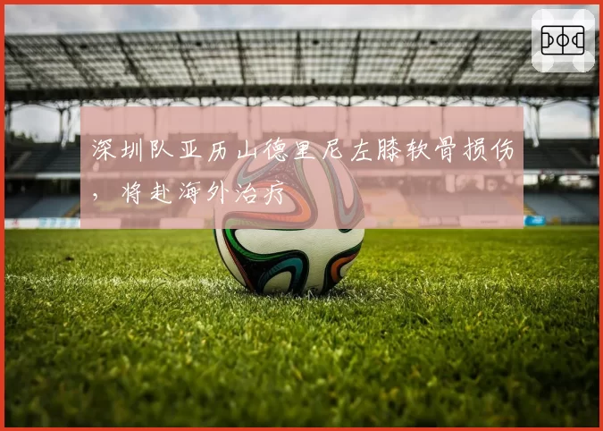 深圳队亚历山德里尼左膝软骨损伤,将赴海外治疗