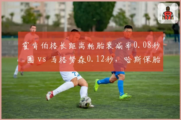 霍肯伯格长距离轮胎衰减率0.08秒_圈 vs 马格努森0.12秒，哈斯保胎效率差距