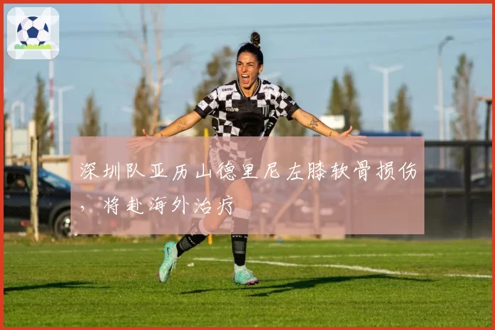 深圳队亚历山德里尼左膝软骨损伤,将赴海外治疗
