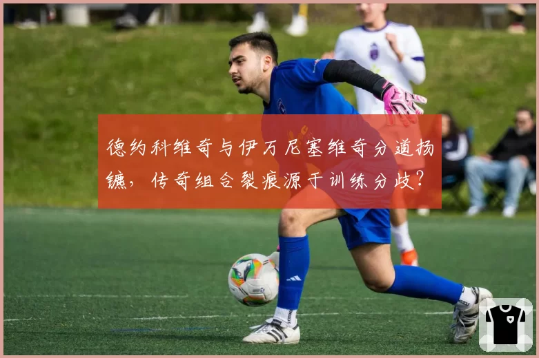 德约科维奇与伊万尼塞维奇分道扬镳,传奇组合裂痕源于训练分歧?