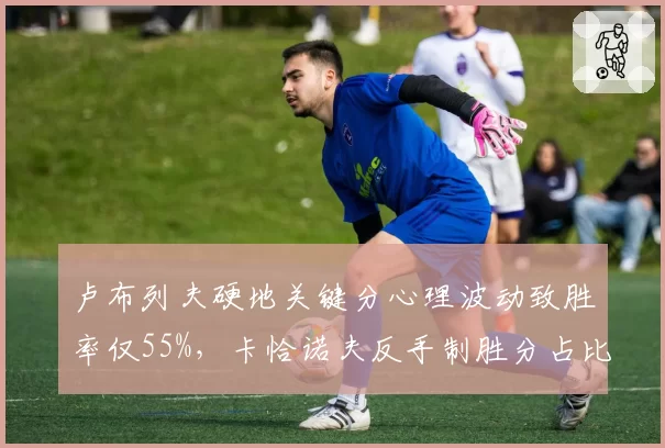 卢布列夫硬地关键分心理波动致胜率仅55%,卡恰诺夫反手制胜分占比不足3%短板凸显