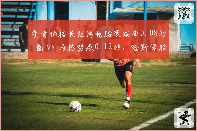 霍肯伯格长距离轮胎衰减率0.08秒_圈 vs 马格努森0.12秒,哈斯保胎效率差距