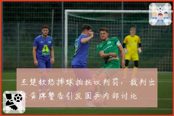 王楚钦怒摔球拍抗议判罚，裁判出示黄牌警告引发国乒内部讨论